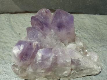 Amethyst Gruppe (Lup113)