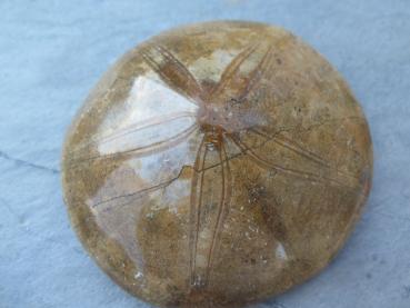 test article - Kopie - Kopie - Kopie - Kopie - Kopie - Kopie - Kopie - Kopie - Kopie - Kopie - Kopie - Kopie - Kopie - Kopie - Kopie - Kopie - Kopie - Kopie - Kopie - Kopie - Kopie - Kopie - Kopie - Kopie - Kopie - Kopie - Kopie - Kopie - Kopie - Kopie -