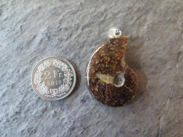 Ammonit-Anhänger (2)