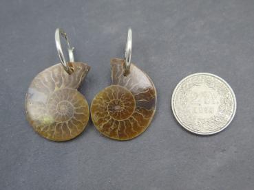 Ammonit-Ohrringe (7)