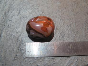 Picasso jasper (VJ132)