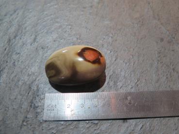 Picasso jasper (VJ133)