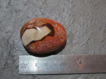 Picasso jasper (VJ136)