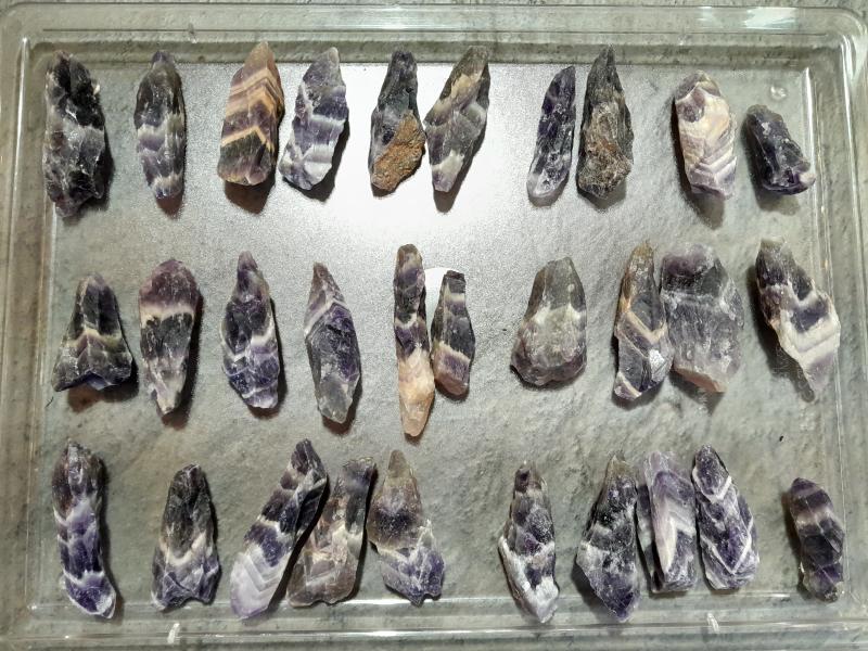 Hexenhüte mini (Lup102)