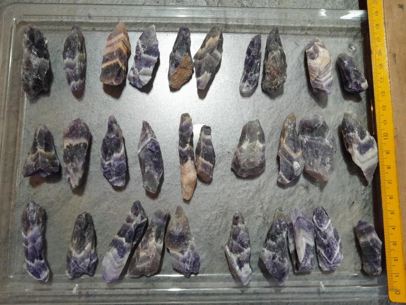 Hexenhüte mini (Lup102)