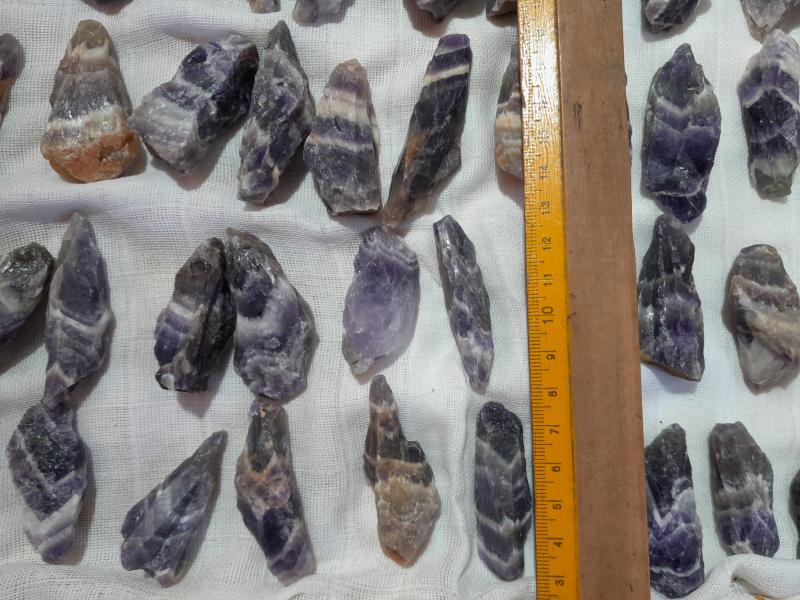 Hexenhüte klein (Lup103)