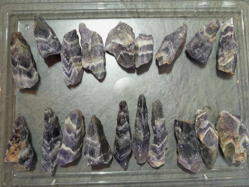 Hexenhüte mittel (Lup104)