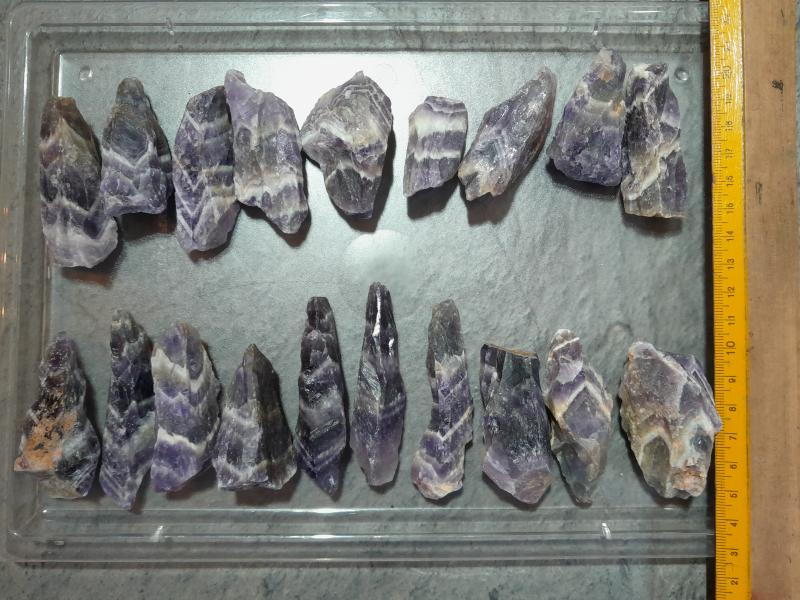 Hexenhüte mittel (Lup104)