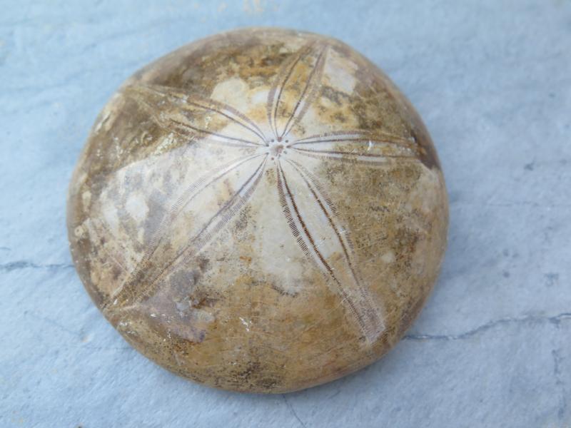 test article - Kopie - Kopie - Kopie - Kopie - Kopie - Kopie - Kopie - Kopie - Kopie - Kopie - Kopie - Kopie - Kopie - Kopie - Kopie - Kopie - Kopie - Kopie - Kopie - Kopie - Kopie - Kopie - Kopie - Kopie - Kopie - Kopie - Kopie - Kopie - Kopie - Kopie -