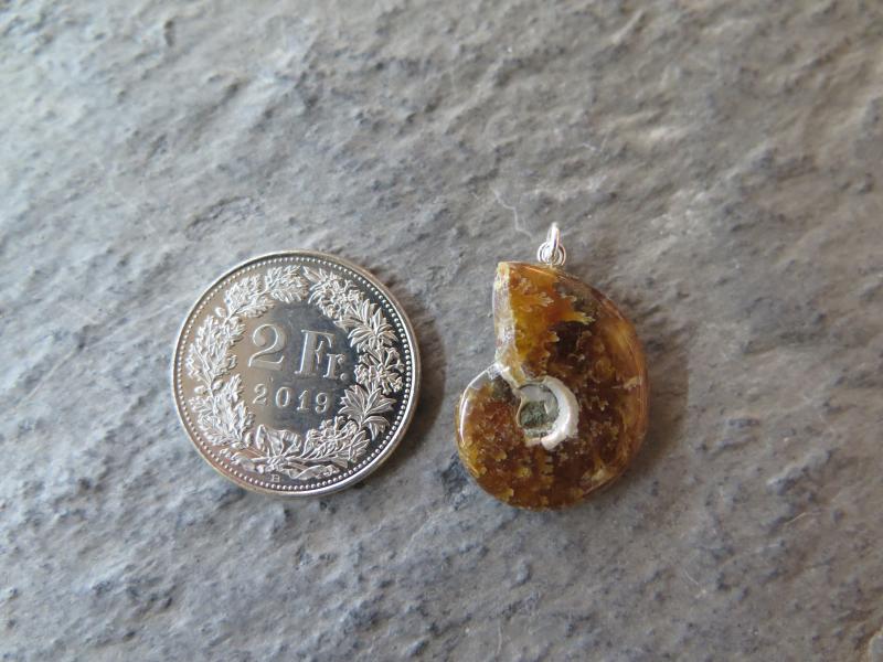 Ammonite pendant (12)