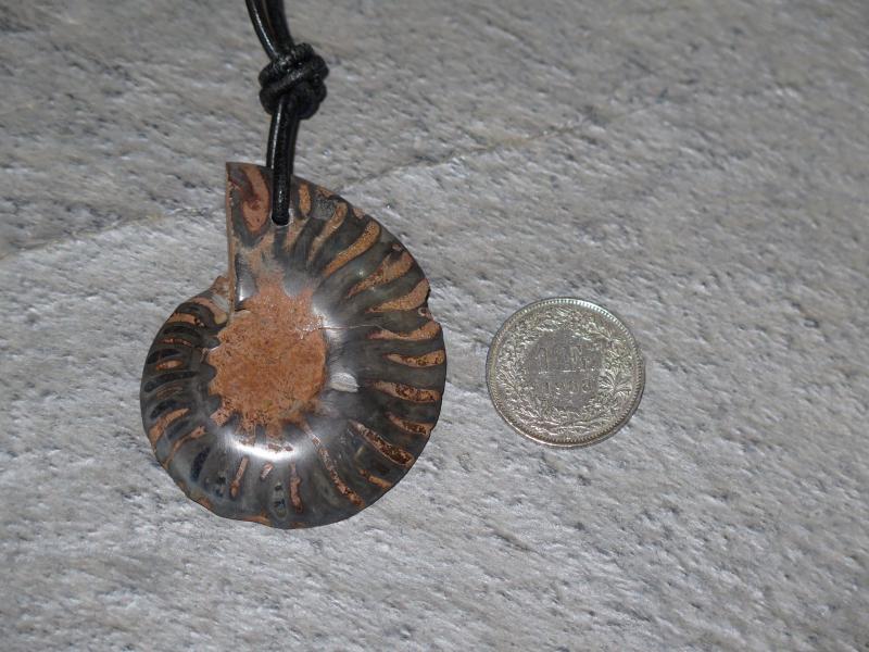 Ammonite pendant (54a)