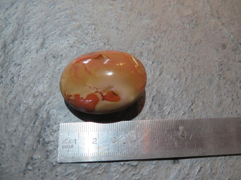 Picasso jasper (VJ134)